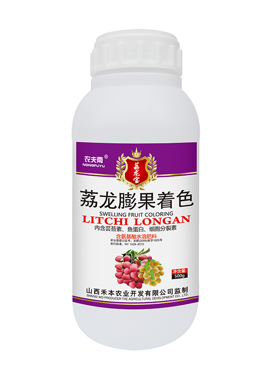 荔龙膨果着色