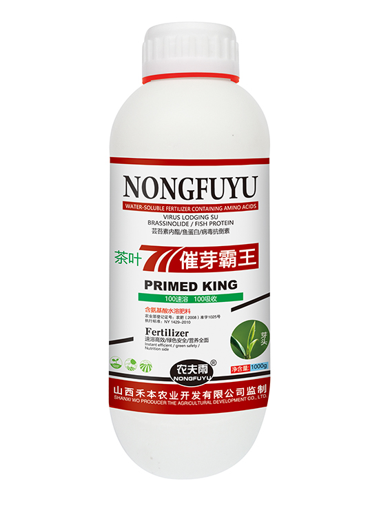 茶叶催芽霸王