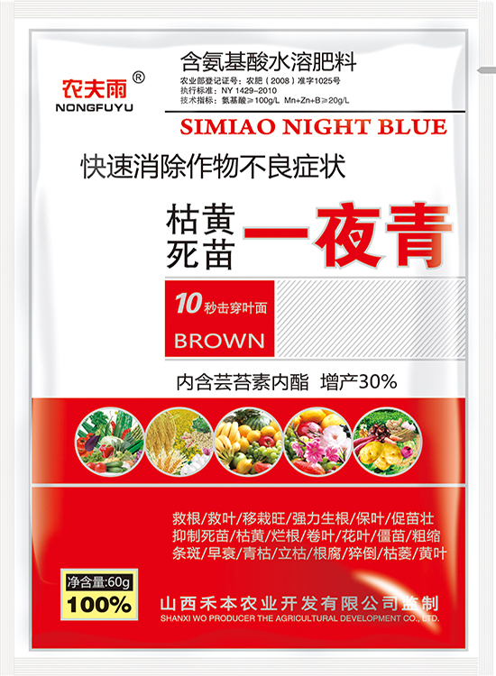 一夜青